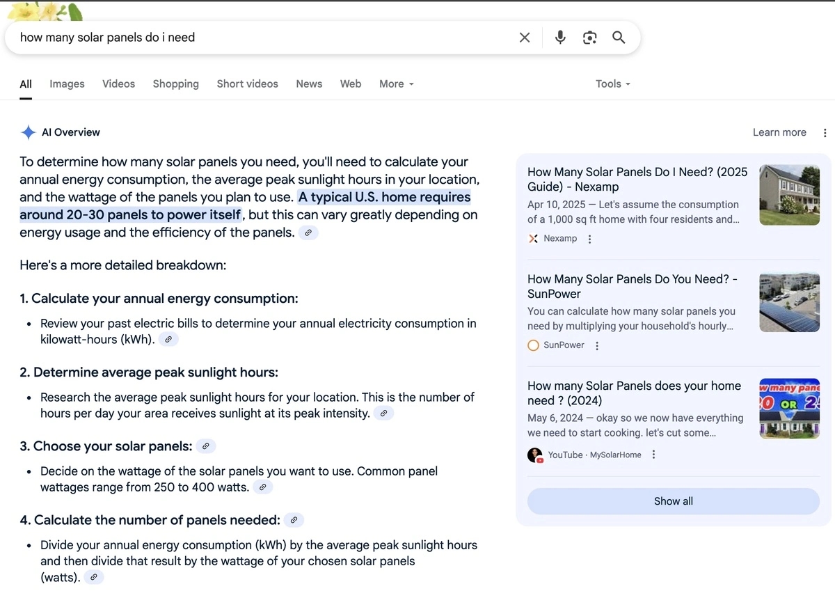 ai overviews voorbeeld