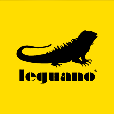 Logo Leguano shoes